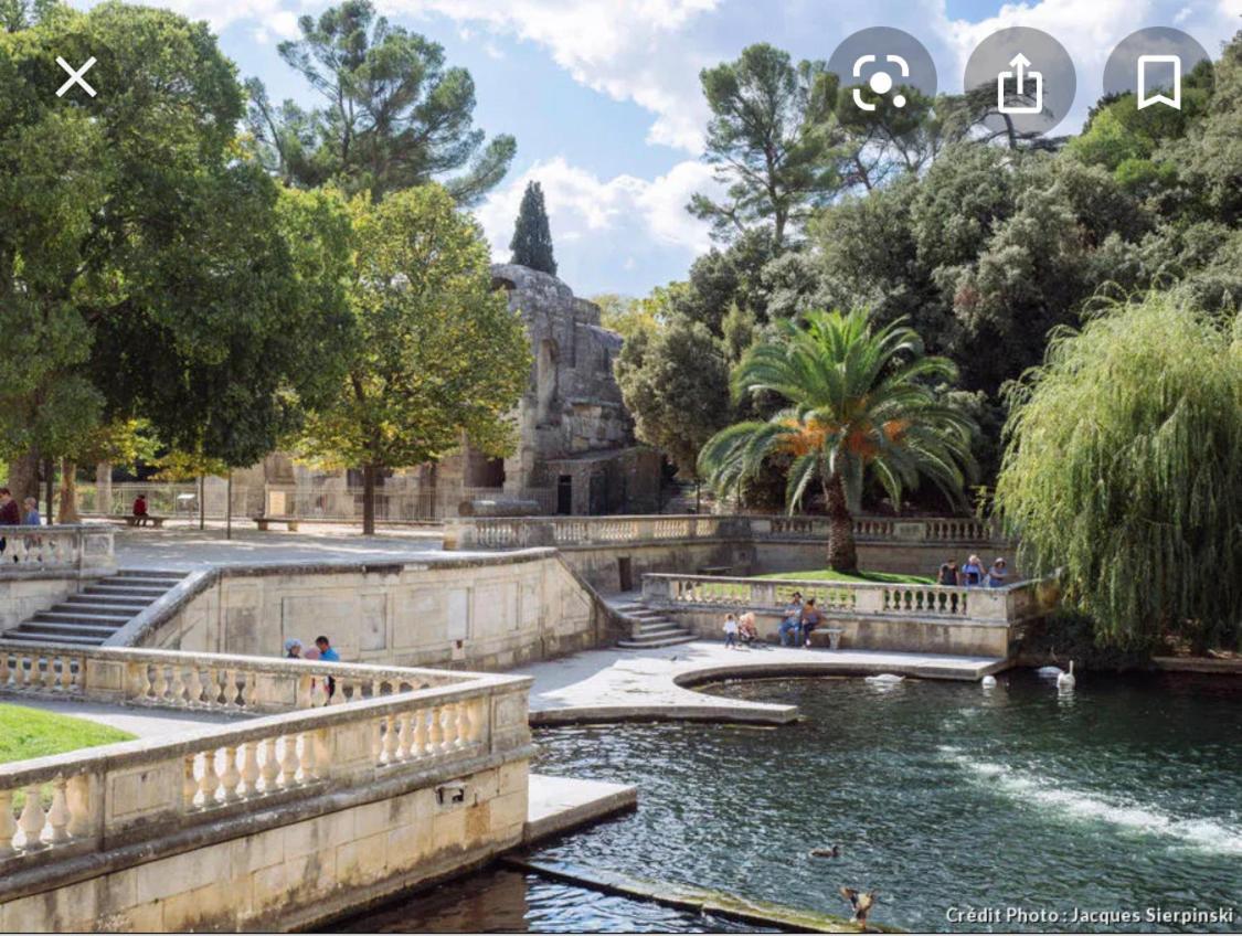 Gite Les Oliviers 10 Pers Piscine Au Calme 4 Etoiles Saint-Laurent-la-Vernède Exterior photo